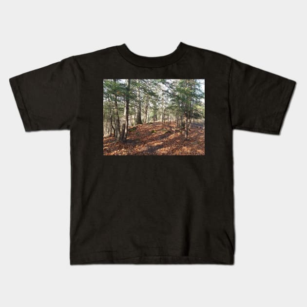 Fairytale forest Kids T-Shirt by Edwardtiptonart